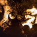 Entretenimento esta semana: Ullr Fest, Grateful Shred e muito mais