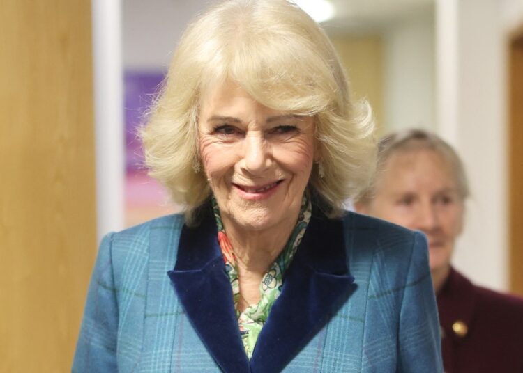 Família real compartilha foto super impressionante da rainha Camilla após revelação de nova pintura