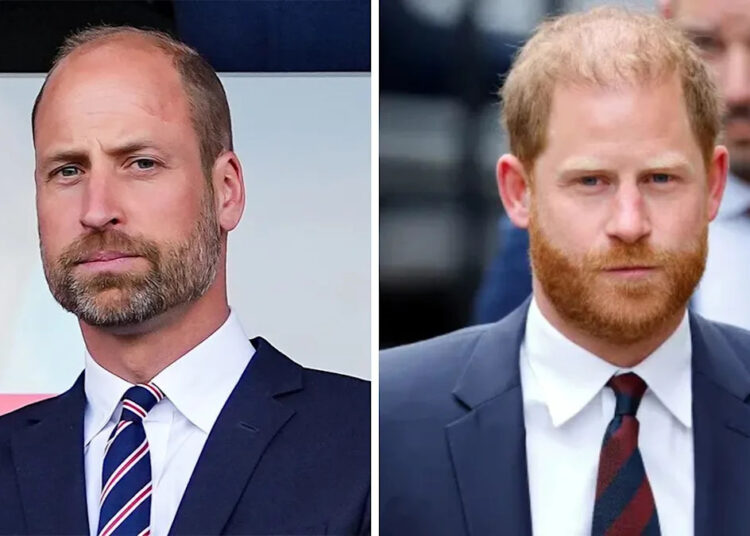 'Furioso' William quer 'bloquear qualquer herança' de Harry do lado de Diana enquanto a rivalidade secreta por dinheiro dos irmãos é revelada - o futuro rei está 'lívido'
