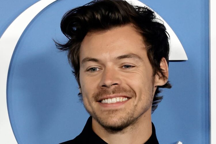 Harry Styles lança site misterioso em meio a novos rumores musicais | Harry Styles, Música | Notícias e fofocas sobre celebridades | Entretenimento, fotos e vídeos
