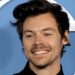 Harry Styles lança site misterioso em meio a novos rumores musicais | Harry Styles, Música | Notícias e fofocas sobre celebridades | Entretenimento, fotos e vídeos