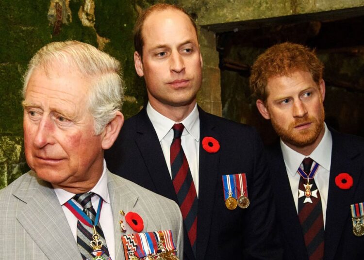 How Princes William, Harry were caught in early royal controversy involving Charles