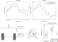 Large-scale music events can cause subclinical hearing damage