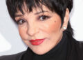 Liza Minnelli faz parceria com ElevenLabs em novo projeto AI Music