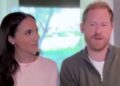Membro da família do Príncipe Harry e Meghan Markle faz uma aparição surpresa durante videochamada