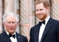 O grande ramo de oliveira do príncipe Harry pode acabar com a rivalidade entre o rei Charles - Fonte
