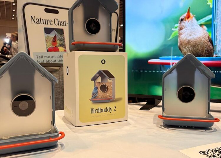 O novo alimentador inteligente de pássaros do Birdbuddy pode identificar pássaros por meio de suas canções