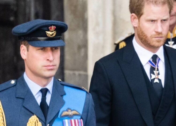 O príncipe William e o príncipe Harry estão em 'mundos separados', afirma o autor real