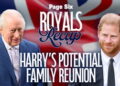O que sabemos sobre o potencial reencontro do Príncipe Harry com a família real