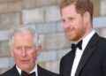 Os verdadeiros sentimentos do Príncipe Harry sobre o relacionamento com o Rei Charles | Real | Notícias