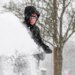 Por que toda essa neve pode realmente proteger suas plantas do frio