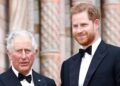 Príncipe Harry usando ‘trunfo’ coloca King em ‘posição difícil’ | Real | Notícias