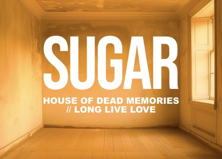 SUGAR compartilha novo single e videoclipe “Long Live Love”