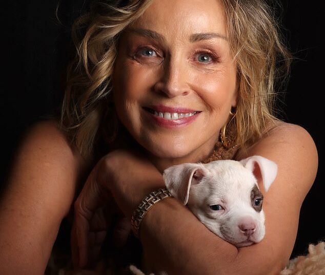 Sharon Stone, 67, exibe alegremente seu novo cachorrinho adotado enquanto faz uma aparição chique em um vestido marrom com franjas no Astra Film Awards