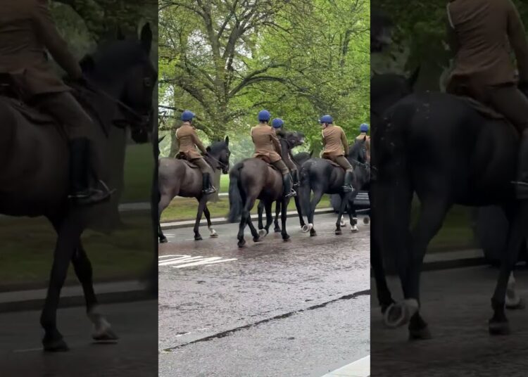 Os cavalos da realeza Britânica!