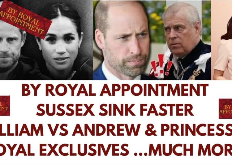 SUSSEX SINK FURTHER, ANDREW’S NEW SCANDAL & ROYAL APPOINTMENT #royal #princeharry #meghanmarkle
