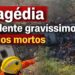 GRAVE ACIDENTE com ônibus de romeiros deixa 17 MORTOS entre as VITIMAS 4 CRIANÇAS.