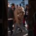 Timothée Chalamet Surprises Fans at Paris Pop-Up! 🇫🇷✨