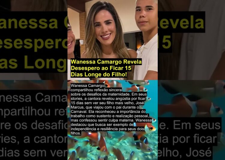 Wanessa Camargo Revela Desespero ao Ficar 15 Dias Longe do Filho!