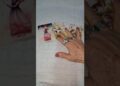 CUIDADO COM BRIGAS E FOFOCAS!