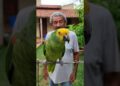 Ele riu da fofoca até ouvir o FINAL! 😱🦜 Deu ruim