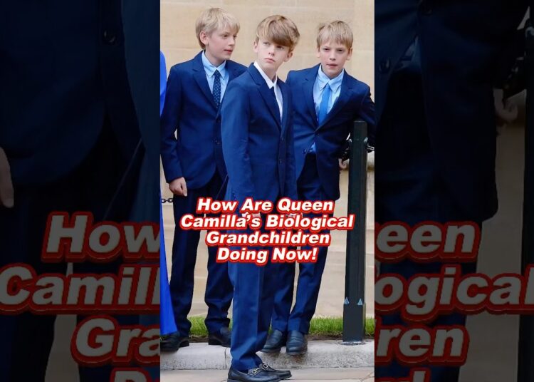 How Are Queen Camilla’s Biological Grandchildren Doing Now! #camilla #royal #queen #princess