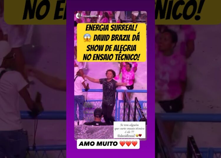 OS MELHORES MOMENTOS DO DAVID BRAZIL!