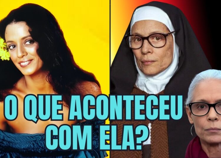 Sônia Braga: Por Onde Anda a Maior Estrela Que o Brasil Já Teve?
