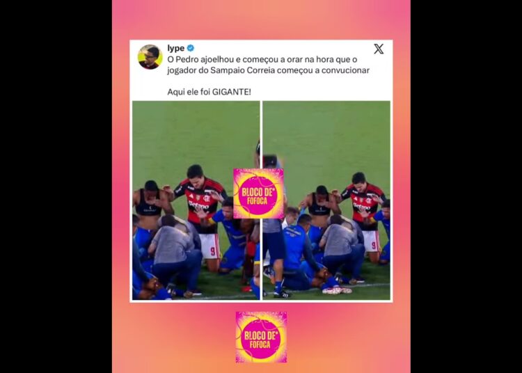 AQUI ELE FOI GIGANTE! #pedroguilherme #flamengo #fofoca #fofocas