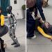 Cardi B FALLS on Robot at Super Bowl Party! 🤯💃
