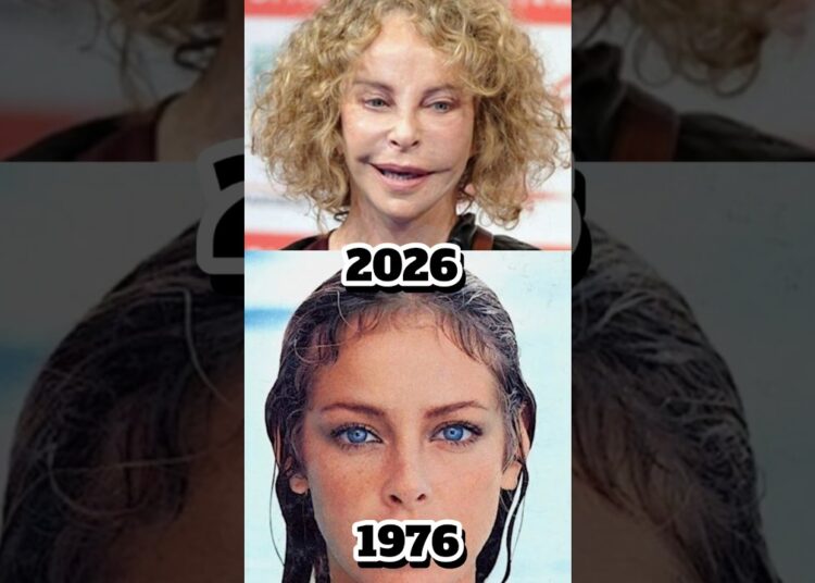 Top 8 Legendary Hollywood Actors from the 1970s — See How They Look Now