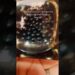 Perfume Bridgerton Da Realeza Marcante Sensual Envolvente 👑 #perfume #oboticario #perfumada