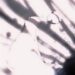 REALEZA DORADA (Slowed)