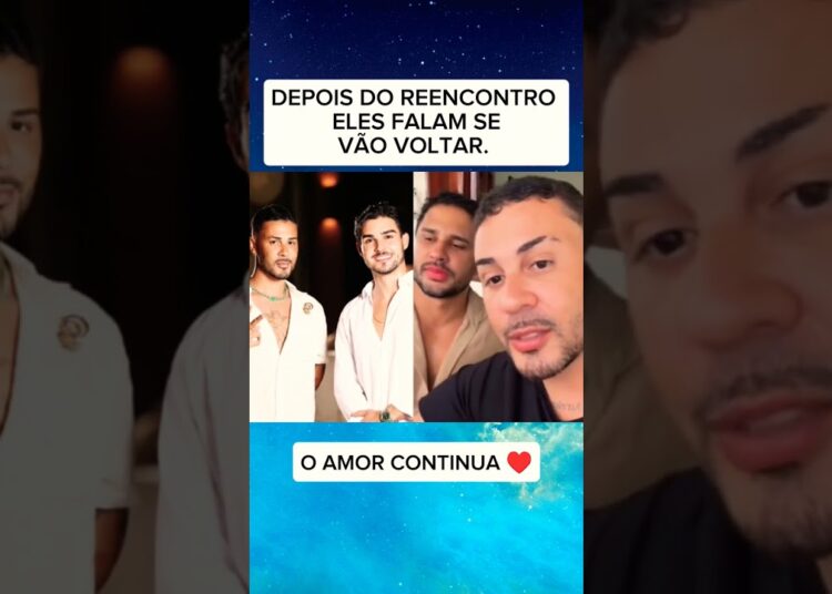 DEPOIS DO REENCONTRO ELES FALAM SE VÃO VOLTAR #fofocas #noticias