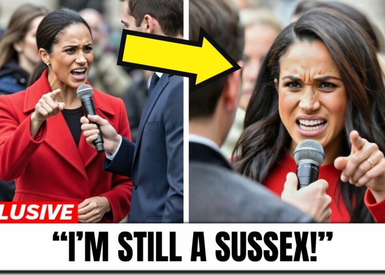 Meghan LOSES IT As Reporter Says She’s Not Royalty! She FIRES Back!