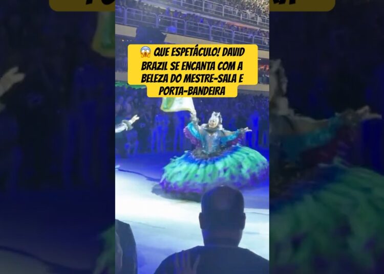 QUE ESPETÁCULO! DAVID BRAZIL SE ENCANTA COM A BELEZA DO MESTRE-SALA E PORTA-BANDEIRA