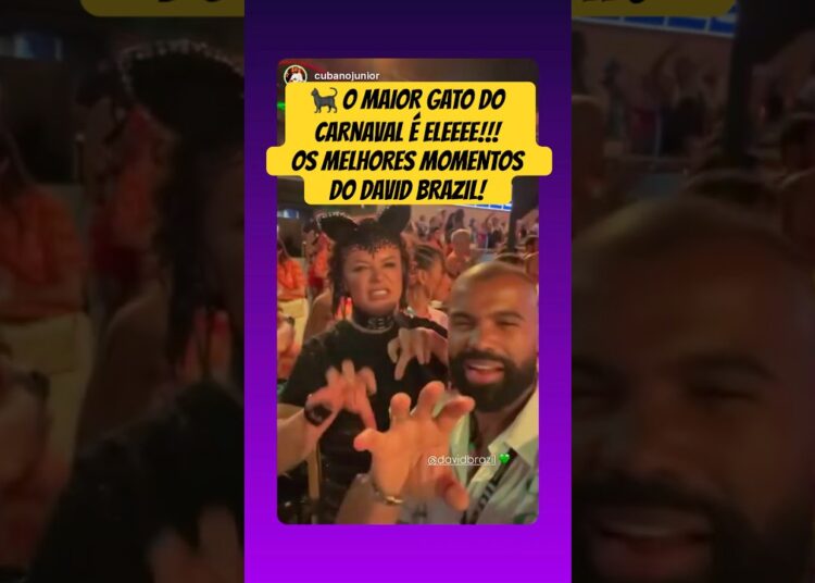 O MAIOR GATO DO CARNAVAL É ELEEEE!!! OS MELHORES MOMENTOS DO DAVID BRAZIL!