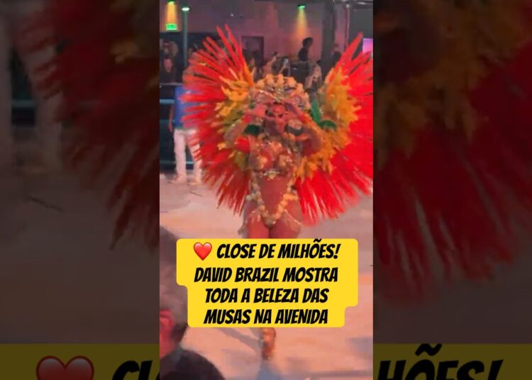 CLOSE DE MILHÕES! DAVID BRAZIL MOSTRA TODA A BELEZA DAS MUSAS NA AVENIDA