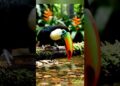 Realeza da Selva ❤️❤️❤️❤️🙏🏿🙏🏿🔥💯 #funnyshorts #memes #mundoanimal