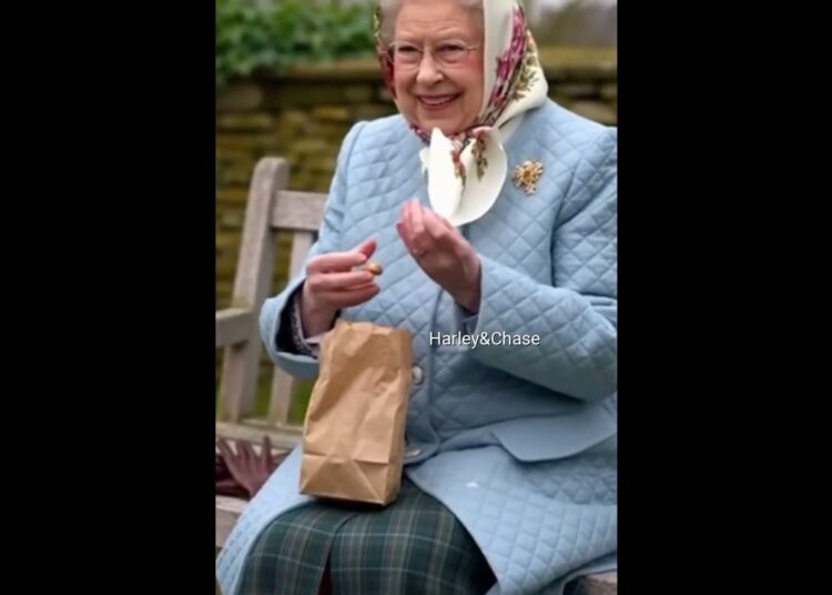 Queen Elizabeth  #princeharry #Queen #QueenElizabeth #cute #Royal #RoyalFamily