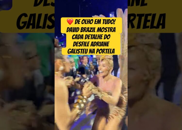 DE OLHO EM TUDO! DAVID BRAZIL MOSTRA CADA DETALHE DO DESFILE ADRIANE GALISTEU NA PORTELA