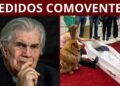 30 FAMOSOS QUE FIZERAM UM ÚLTIMO PEDIDO ANTES DE MORRER E COMOVERAM O BRASIL