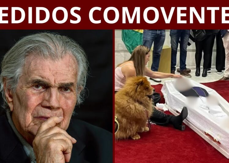 30 FAMOSOS QUE FIZERAM UM ÚLTIMO PEDIDO ANTES DE MORRER E COMOVERAM O BRASIL