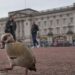 Da abdicação a Diana, Harry e ao ex-príncipe Andrew. Uma olhada nos principais escândalos reais britânicos |