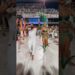 Chocada #noticias #virginiafonseca #carnaval #viniciusjr #fofocas #samba #viral #viralvideo