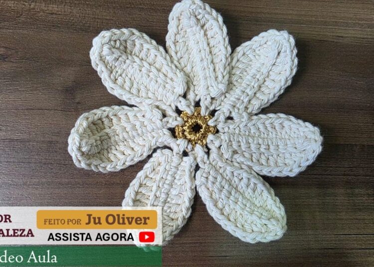 FLOR REALEZA – VÍDEO AULA