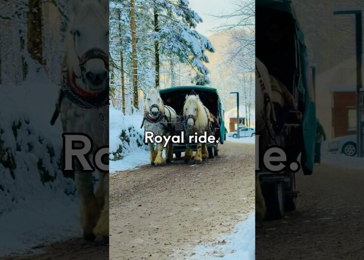 Llegando como la realeza🐎🏰#NomadicHeart #Viajes #Alemania #Neuschwanstein #VibraDeCuento