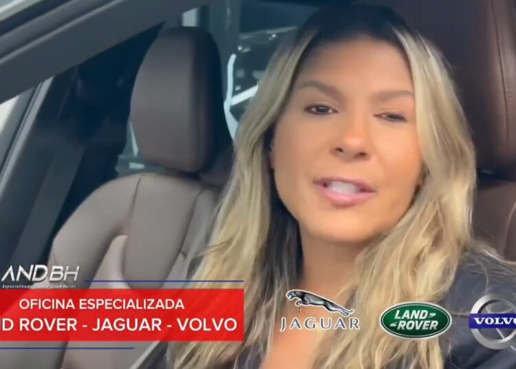 Programa Momento Celebridades Matéria o Maior  Crescimento de Gatos no Brasil da História.