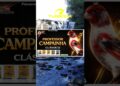 Canário Belga A Realeza do Canto 👑✨ Professor Campainha Clássico 🎵 Se Você Ama, Precisa Ouvir Isso