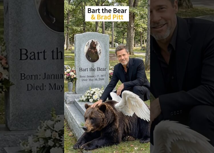 🐾🕊️ R.I.P. 5 Legendary Animal Movie Stars Who Stole Our Hearts,Partner with their Hollywood stars